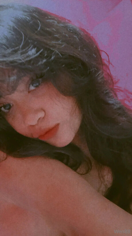 Wen88 model kunst bild