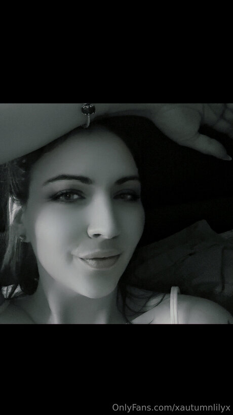 Xautumnlilyx kunst schöne foto