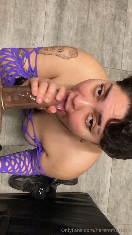 Haremmasterx beste top bild