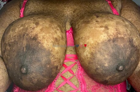 Freckledfantasy5 xxx top bild