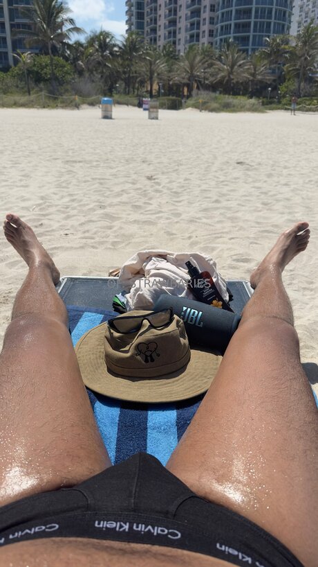 Strawbaries kunst schöne galerie