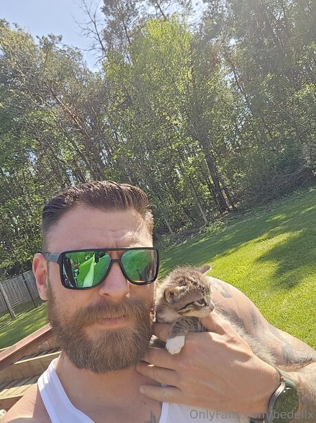 Bedellx hd freie foto