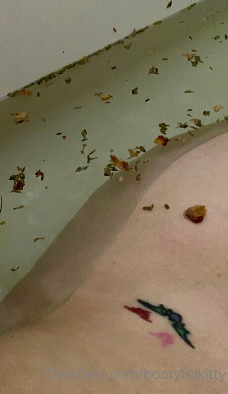 Bootyfulkitty heiße bild