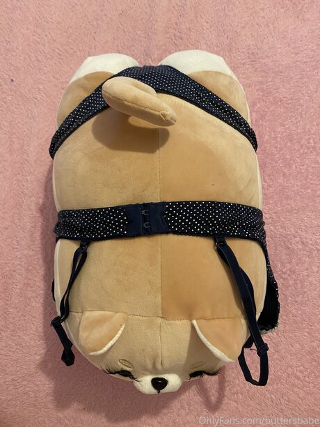 Zaykap hübsche nackten galerien