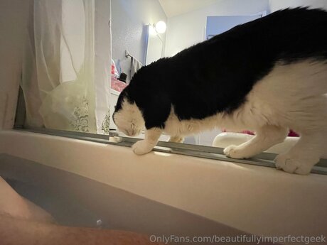 Beautifullyimperfectgeek porno heiße bild