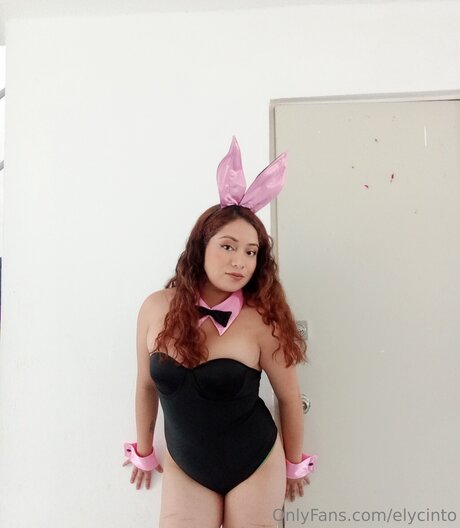 Elycinto perfekte kostenlose bilder