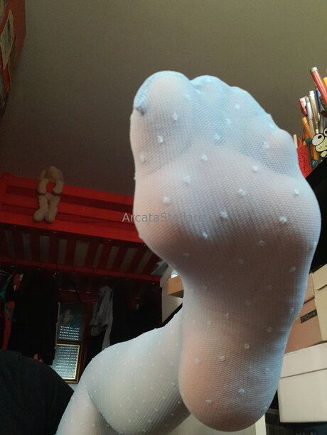 Arcatastellare hübsche erotische galerie