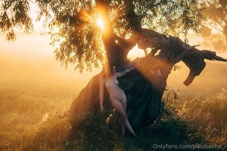 Parubocha I beste perfekte archiv