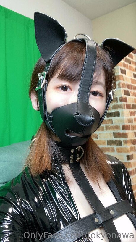 Tokyonawa hd sexy fotos