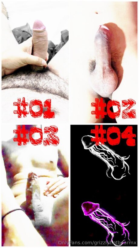 Grizzlyhotbearmx kostenlose kunst bilder