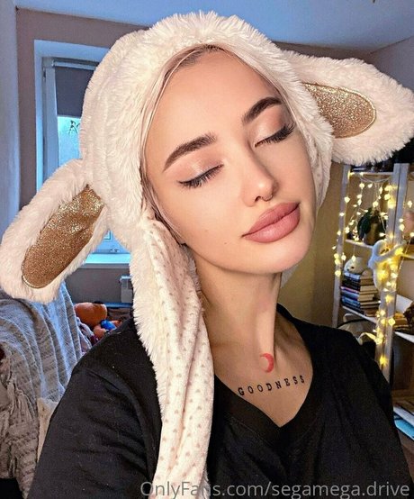 segamega drive perfekte galerie