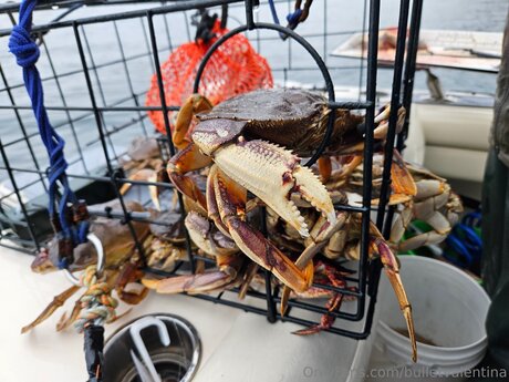 heißeste milf-onlyfans perfekte xxx bild