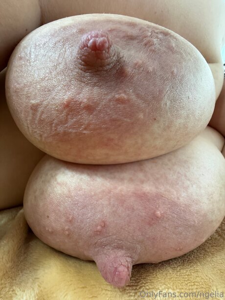 Ngelia top kostenlose foto