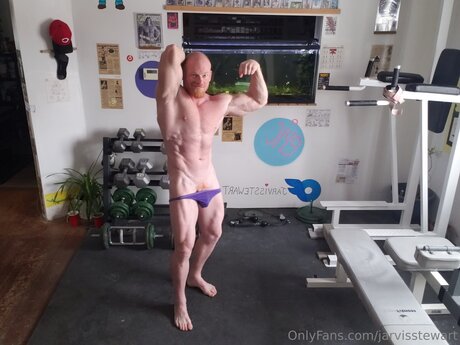 Jarvisstewart top erwachsene galerien