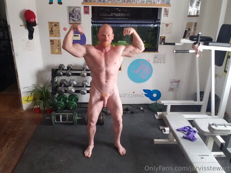 Jarvisstewart freie akt galerien