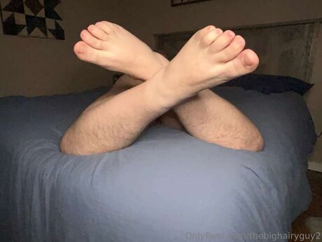 Thebighairyguy2 top porno fotos