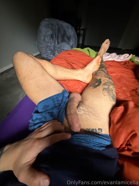 Evanlamicella schauspielerin kostenlose foto