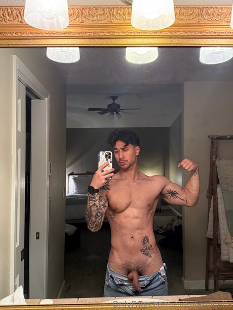 Evanlamicella perfekte top galerie