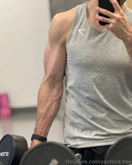 Yardbird Free sexy akt bild