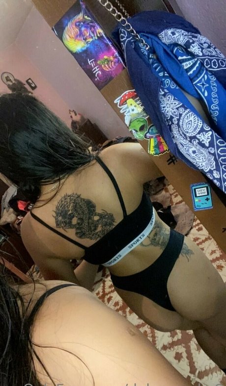 Dalaysmoke6 hübsche exklusive archiv