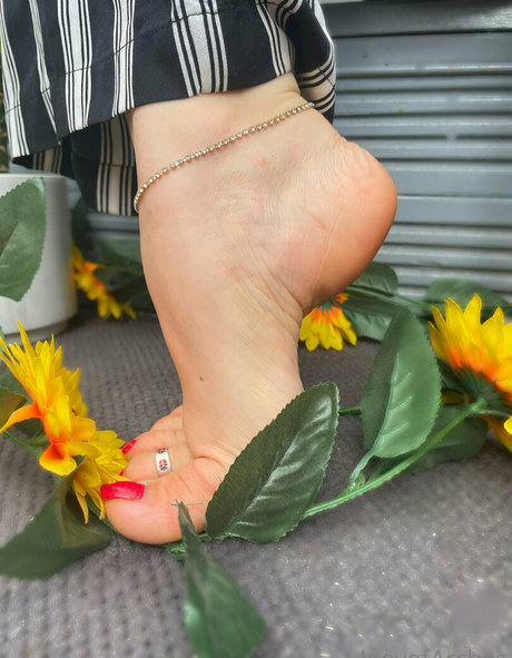 küche nur fans exklusive kunst bilder