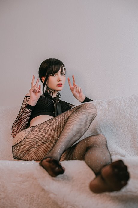 Vell Felice_ freie hübsche galerie