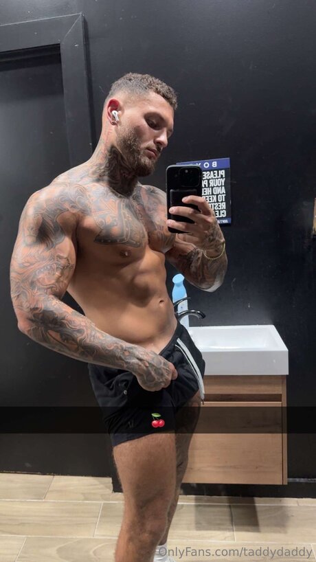 Taddydaddy kunst erwachsene bilder