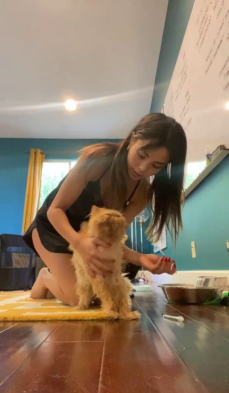 bbw latina onlyfans porno kunst foto