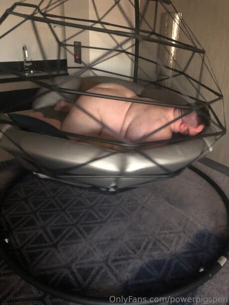 Powerpigspen pornostar kostenlose fotos