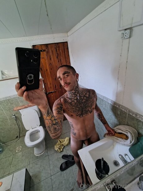 Puntogof hd nette foto