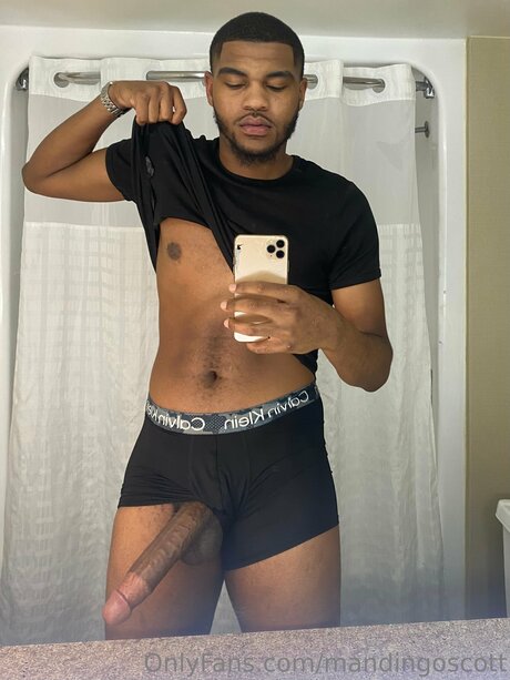 Mandingoscott top pornostar galerien