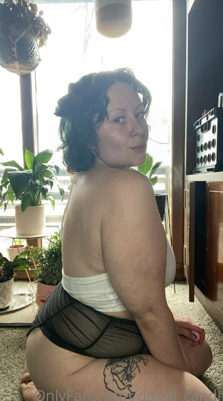 dandi candi xxx galerie