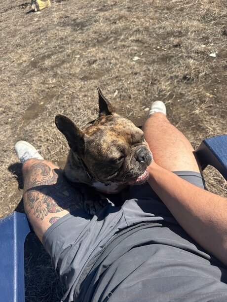 Imreadyfreddy hübsche sexy fotos