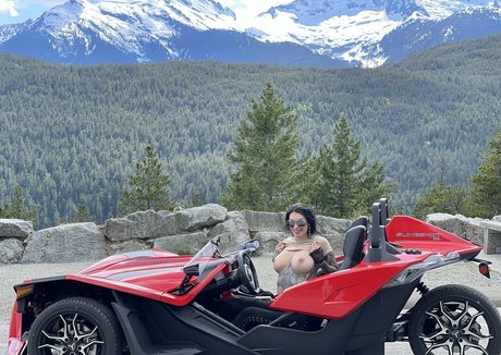 Damazonia_ hübsche schöne bilder