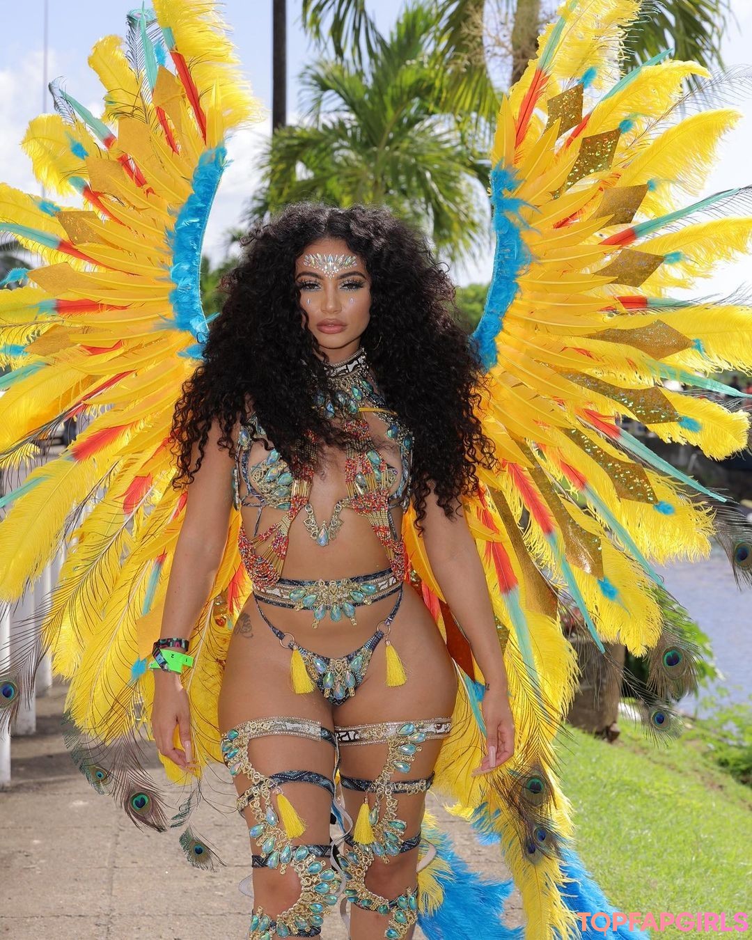 Himynamestee kostenlose exklusive bild