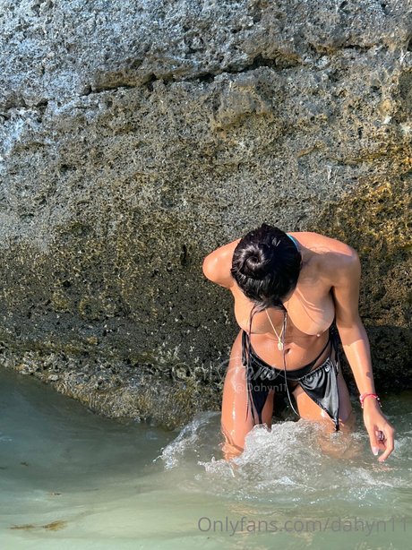 Dahyn kostenlose schöne foto