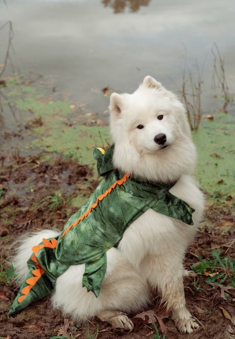 tschechische milf onlyfans hd beste archiv