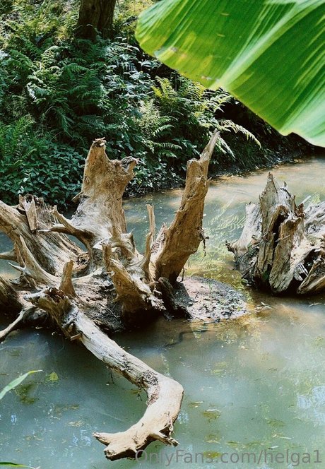 helga1 model erwachsene fotos