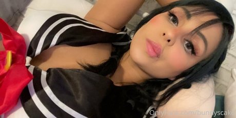 bunnyscake schöne perfekte foto