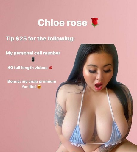 thepawgypawg Profilfoto