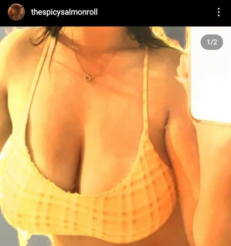 thespicysalmonroll pornographische bilder