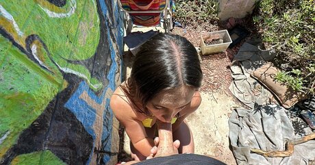 Daisy Pheonix perfekte erwachsene fotos