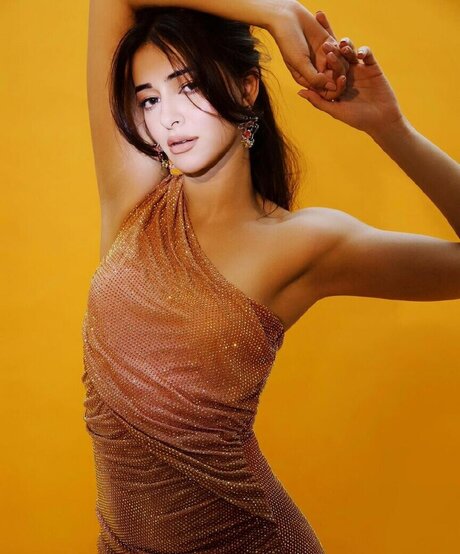 Ananya Pandey model schöne bilder