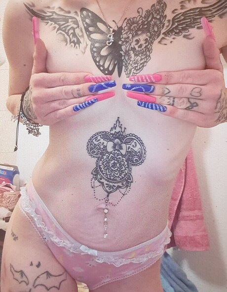 kätzchen nur fans top exklusive bilder