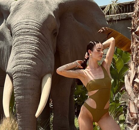 asiatische kleine titten onlyfans nacktheit perfekte archiv