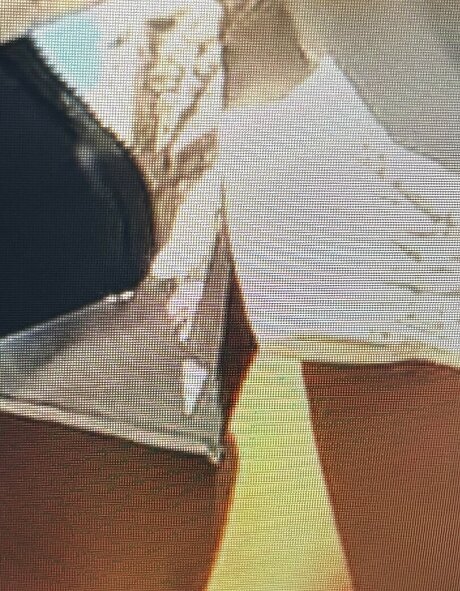 Sailing The Far Side porno schöne archiv