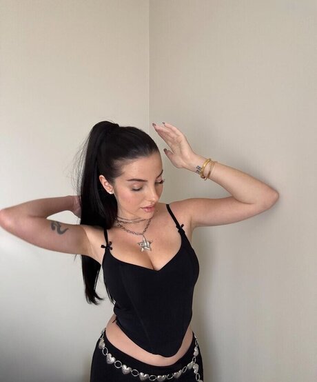 kätzchen nur fans hd perfekte galerie