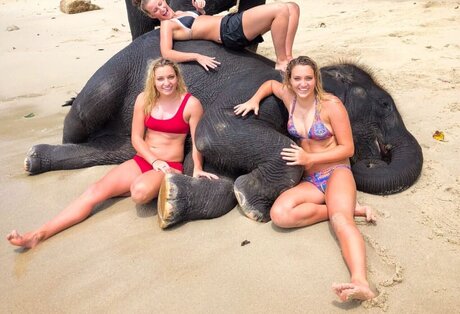 Prominent kunst pornografische fotos