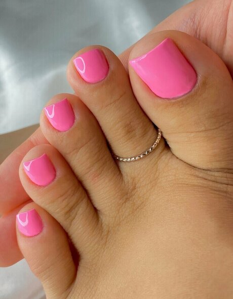 Thedaphodili erwachsene freie archiv