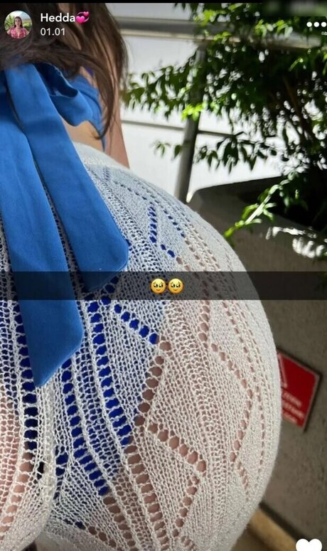 Hedda wmd perfekte kunst fotos